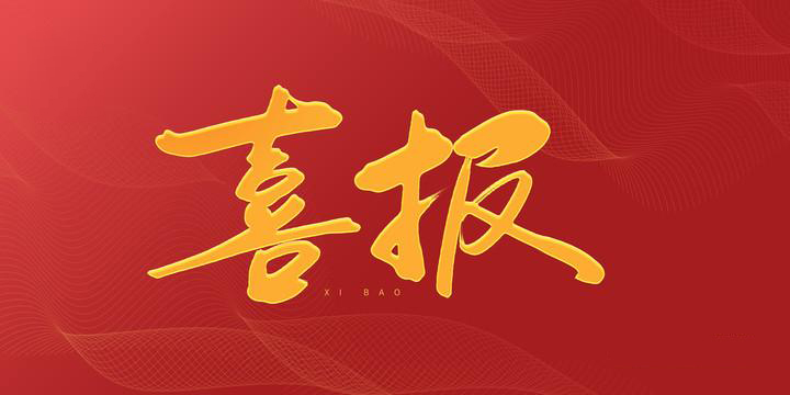 安徽科達(dá)潔能“高效清潔氣化技術(shù)產(chǎn)業(yè)創(chuàng)新團(tuán)隊(duì)”榮獲“安徽省工程師團(tuán)隊(duì)獎(jiǎng)”